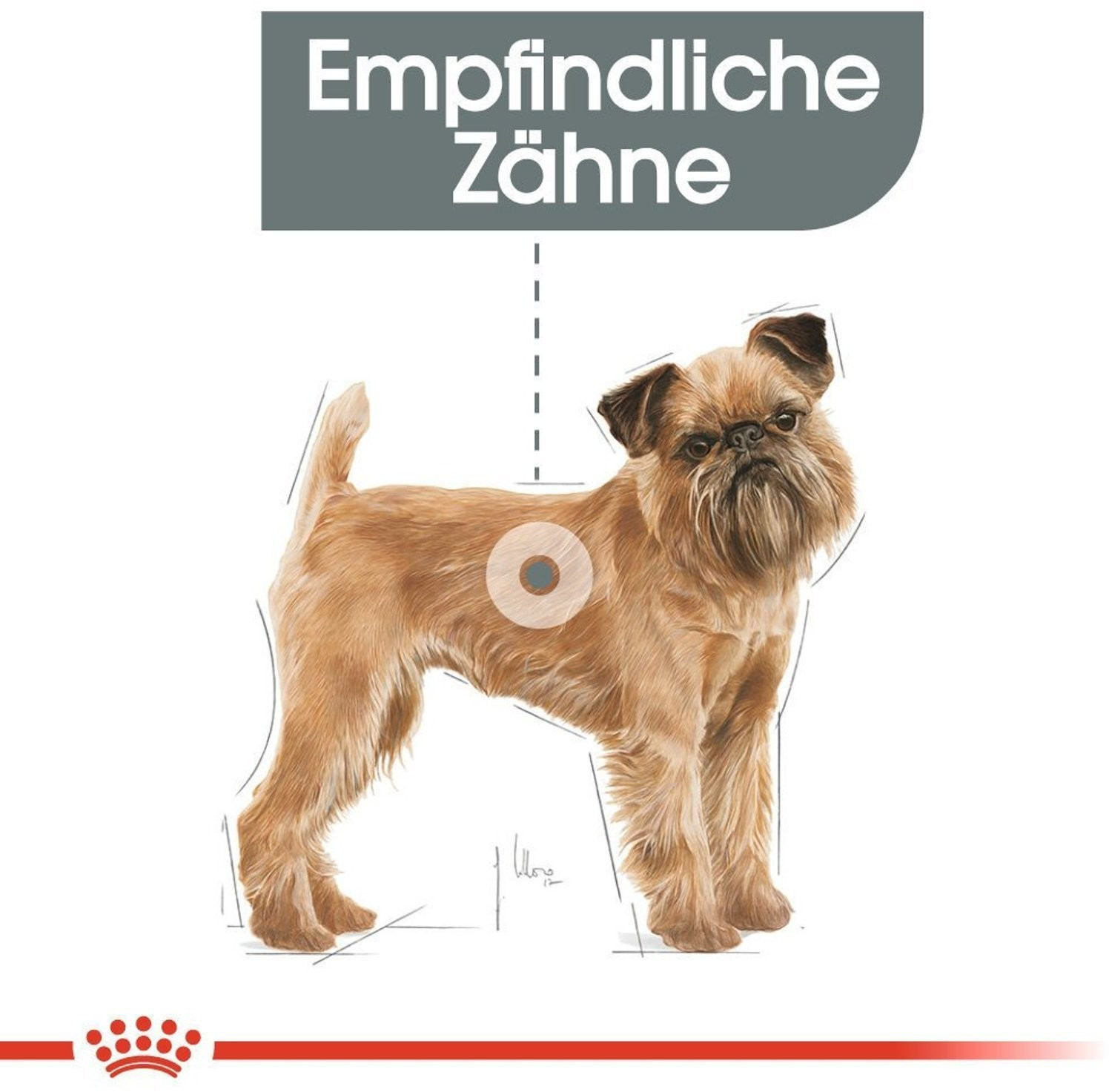 Royal Canin Croquettes pour chien 1kg Royal Canin Croquettes pour chien 1kg