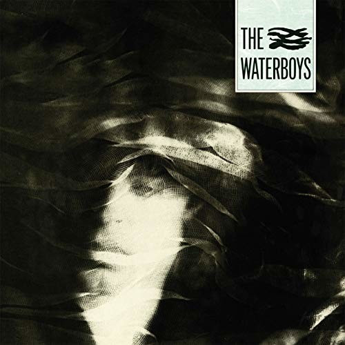 The Waterboys - A Pagan Place (Vinyl)