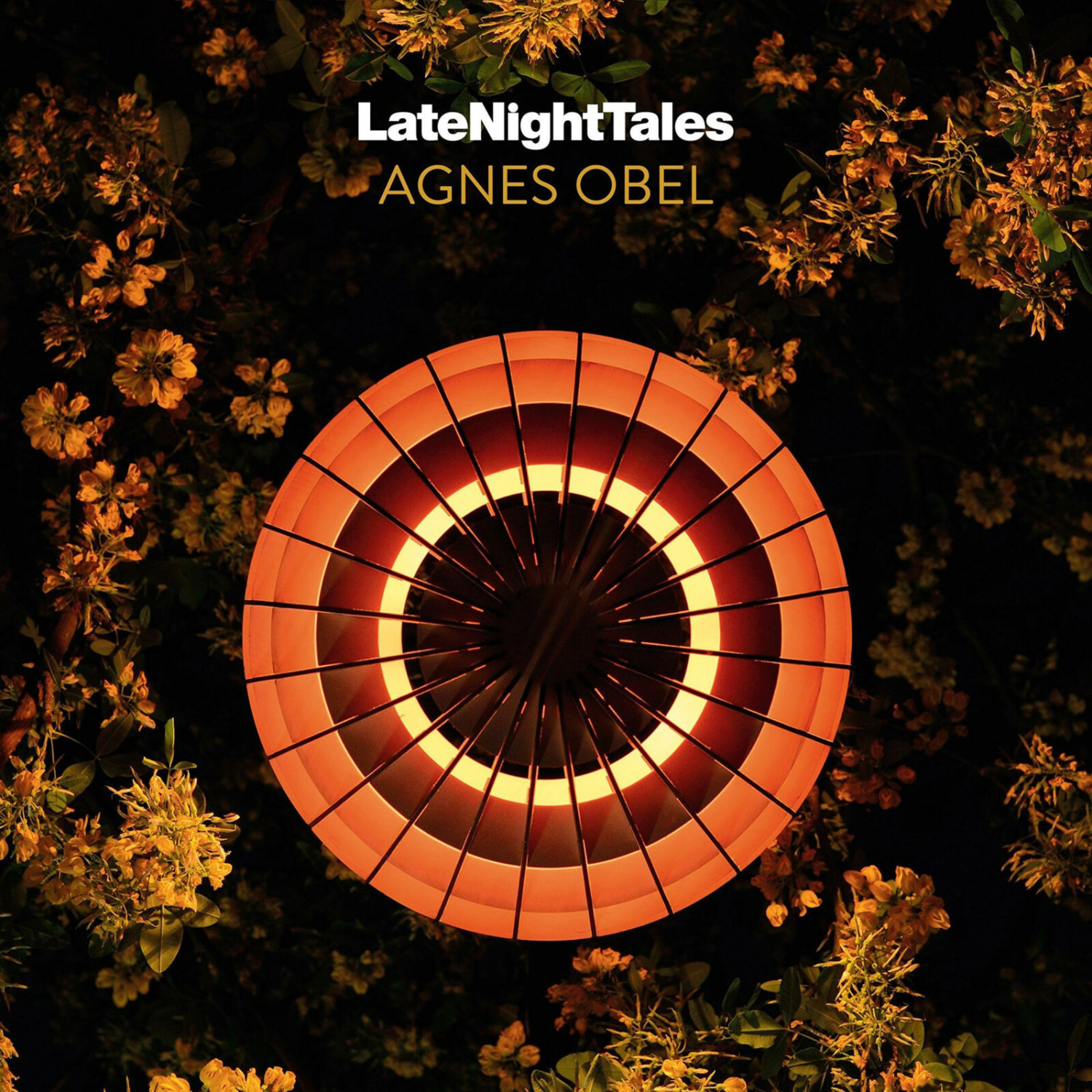 Agnes Obel - Late Night Tales (Gatefold 180g 2LP+Mp3) (Vinyl)