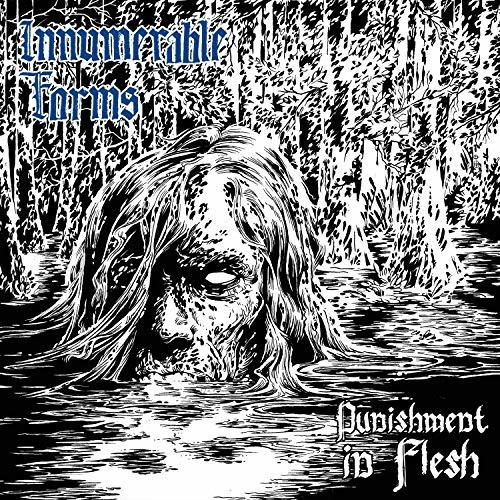 Innumerable Forms - Punishment In Flesh (2LP) (Vinyl)