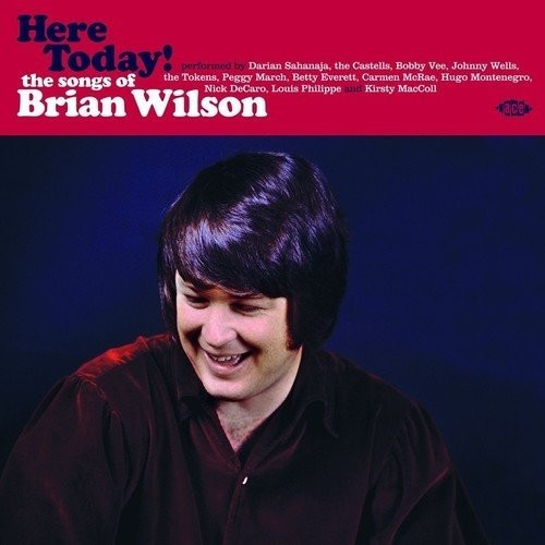 Brian Wilson, VARIOUS - Here Today! The Songs Of Brian Wilson (180 Gr.Whi (Vinyl)
