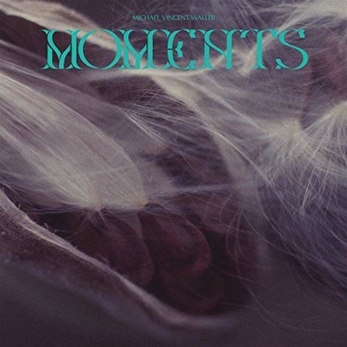 Michael Vincent Waller - Moments (Vinyl)