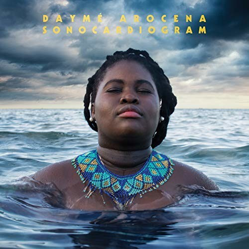 Dayme Arocena - Sonocardiogram (Vinyl)