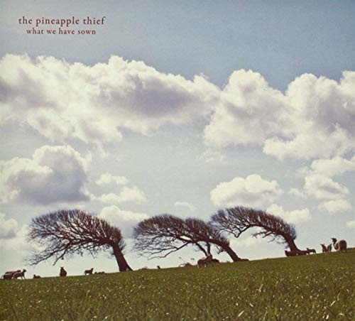 The Pineapple Thief - What We Have Sown (Vinyl)