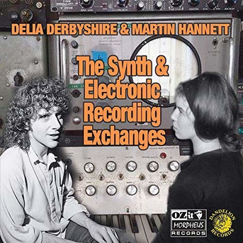 Delia Derbyshire, Martin Hannett - the synth and electronic recording exchanges (Vinyl)