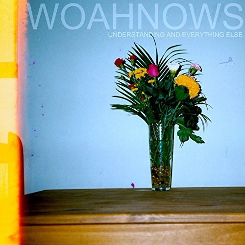 Woahnows - Understanding And Everything E (Vinyl)
