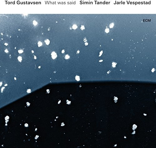 Jarle Vespestad, Gustavsen Tord, Simin Tander - What Was Said (Vinyl)