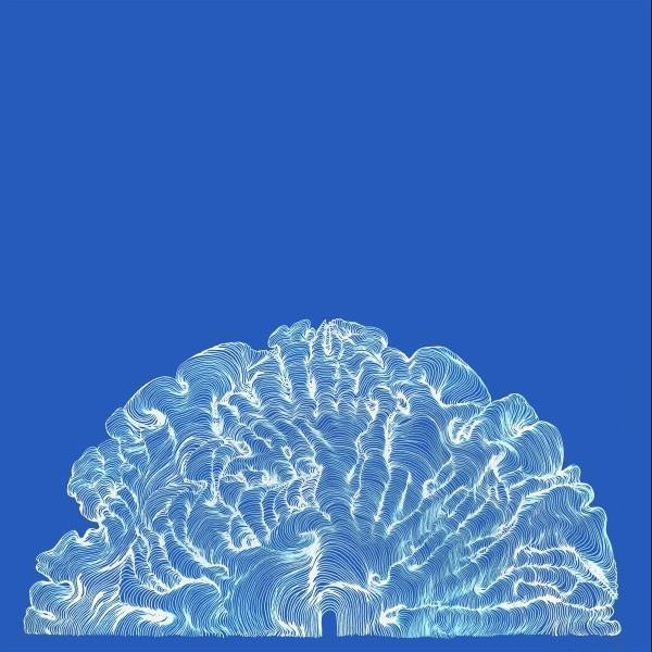 Leafcutter John - Yes! Come Parade With Us (Vinyl)