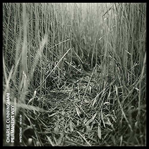 Charlie Cunningham - Permanent Way (Vinyl)