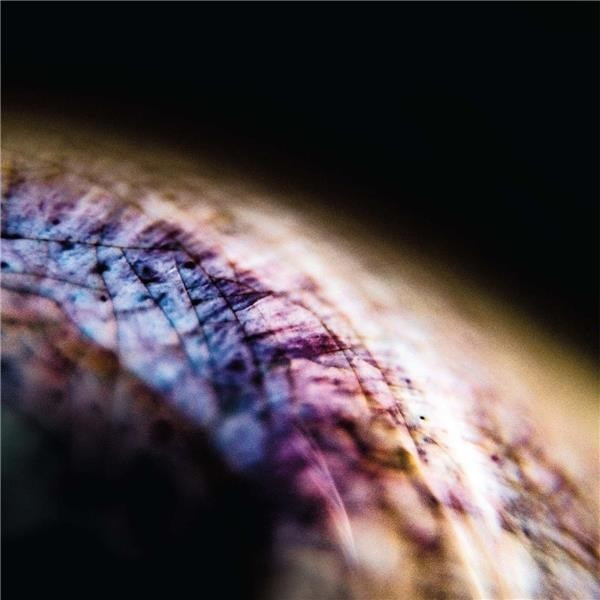 Emptyset - Skin EP (LP+MP3) (Vinyl)
