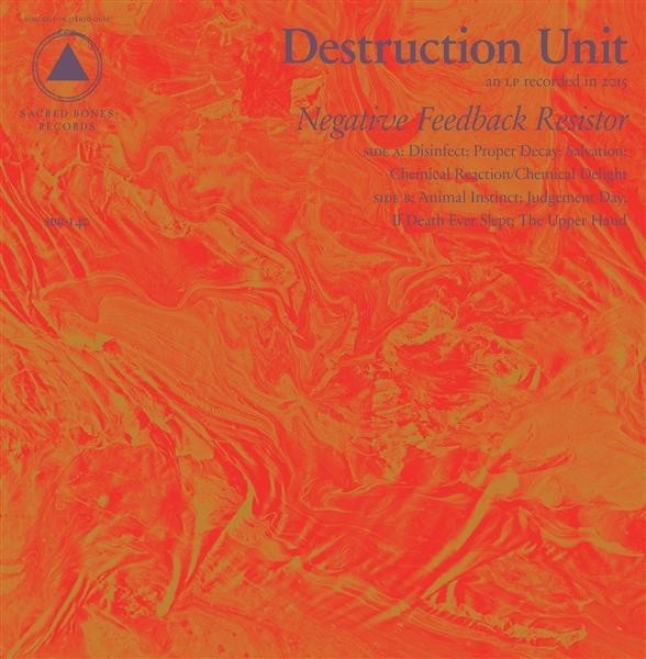 Destruction Unit - Negative Feedback Resistor (Vinyl)