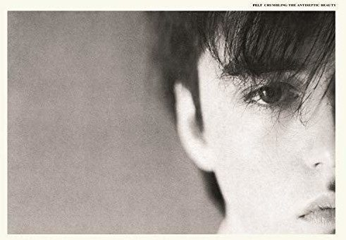Felt - Crumbling The Antiseptic Beauty (Remast.Gatefold) (Vinyl)