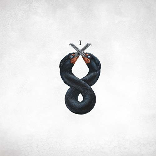 San Fermin - Cormorant 1 (Vinyl)