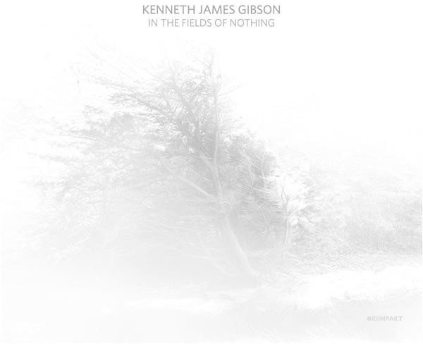 Kenneth James Gibson - In The Fields Of Nothing (LP+MP3) (Vinyl)