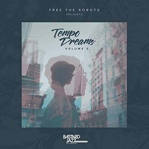 VARIOUS - Tempo Dreams Vol.5 (Vinyl)
