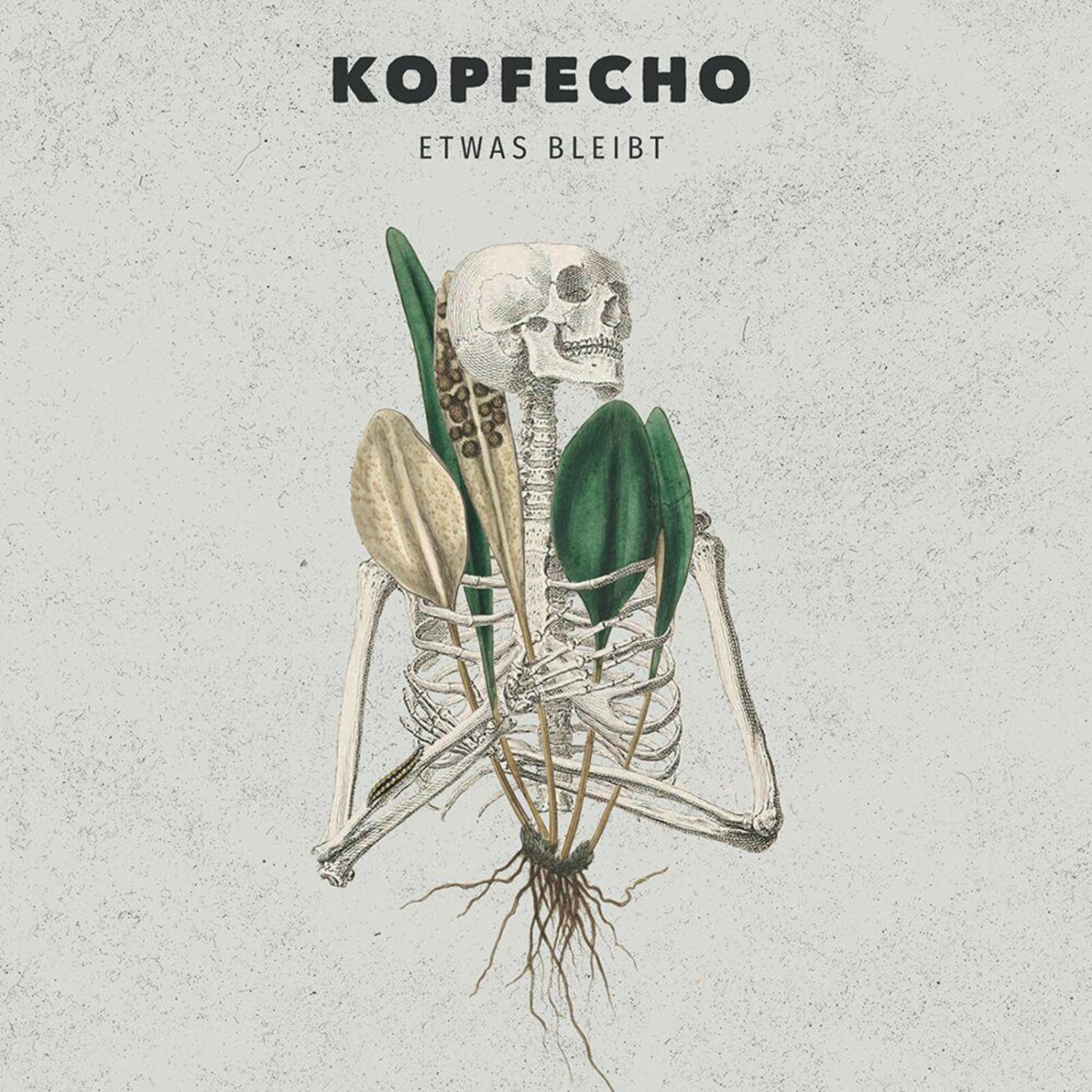 Kopfecho - Etwas bleibt (Digipak) (CD)