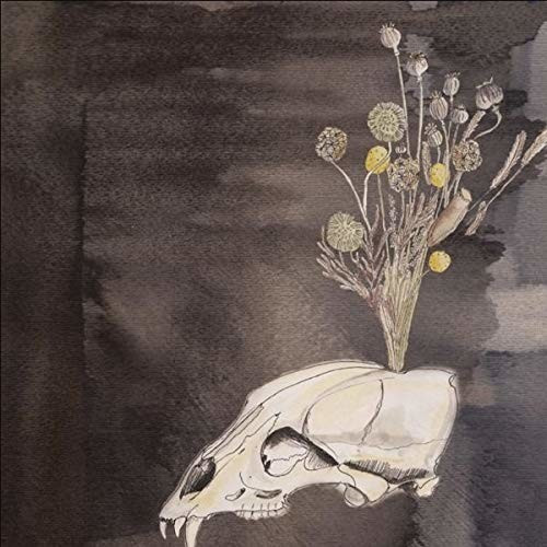 The Black Twig Pickers, Steve Gunn - Seasonal Hire (CD)
