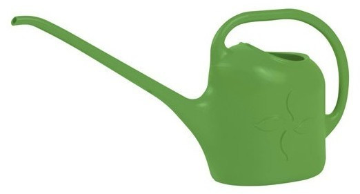EDA Arrosoir long bec 2 L vert