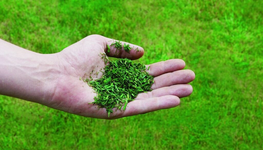 Einhell Einhell GC-PM 56/2 S HW - view 11