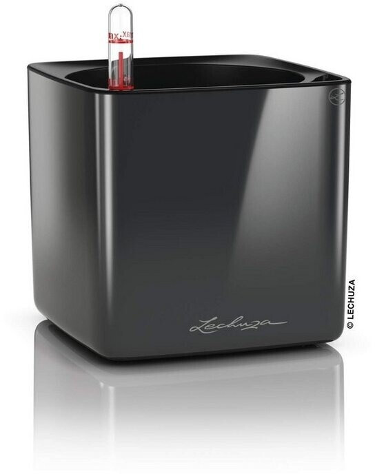 Lechuza Cube Glossy 14