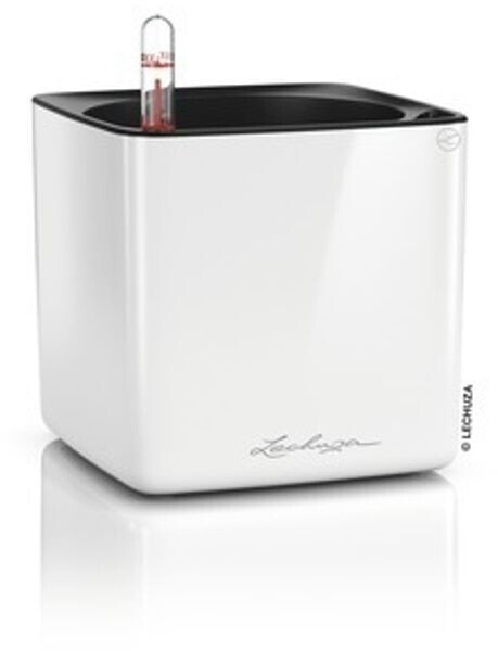 Lechuza Cube Glossy 14 White