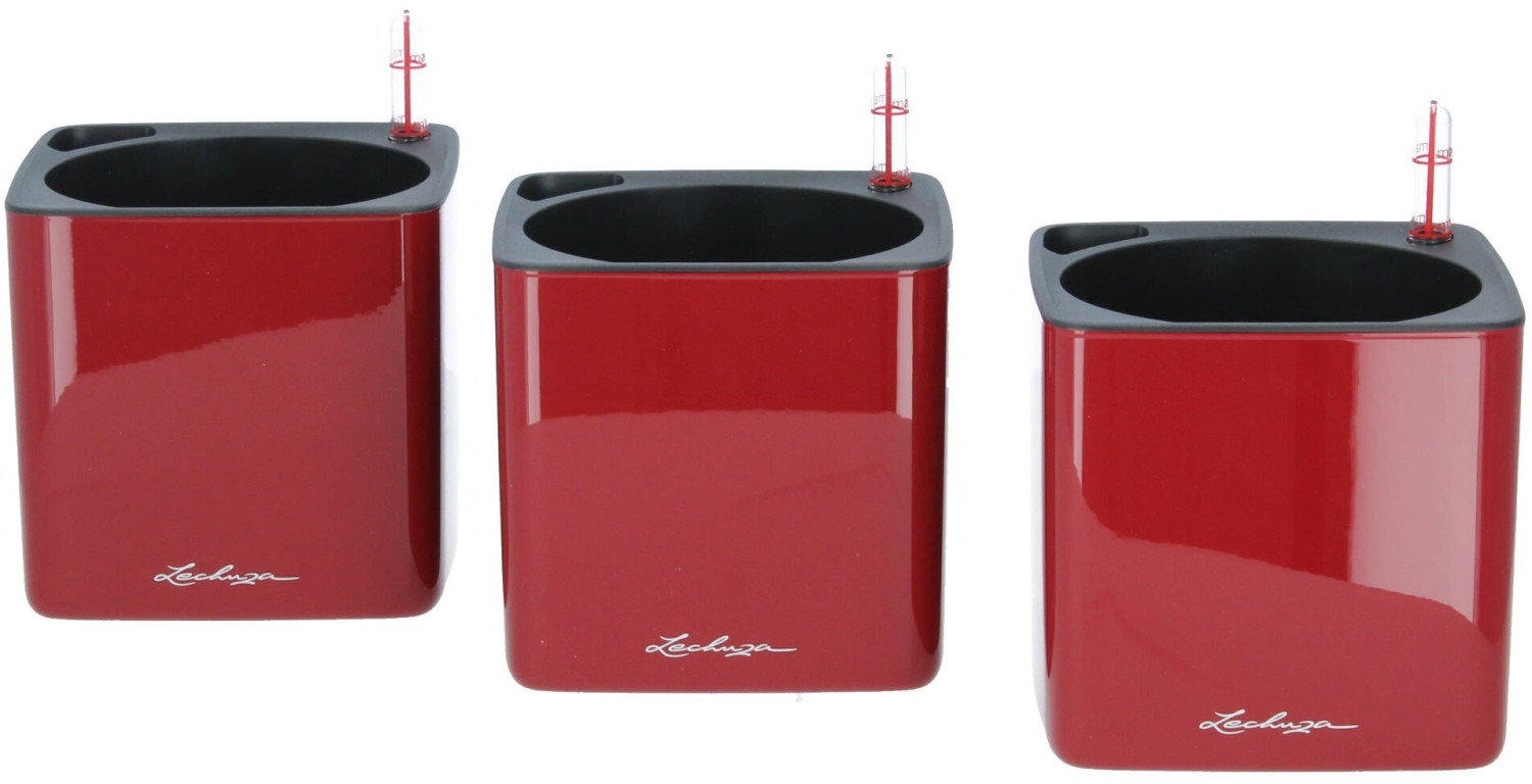 Lechuza Green Wall Home Kit Glossy Scarlet Red