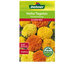 Dehner Hohe Tagetes Prachtmischung, Bunt
