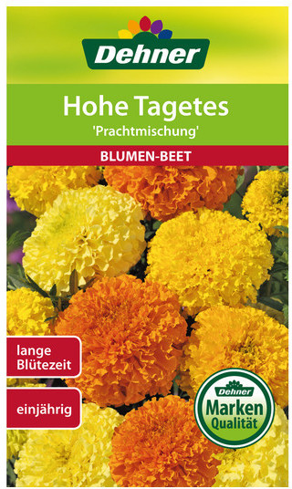 Dehner Dehner Hohe Tagetes Prachtmischung, Bunt - Product image 1 of 2