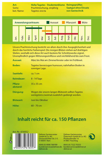 Dehner Dehner Hohe Tagetes Prachtmischung, Bunt - side view