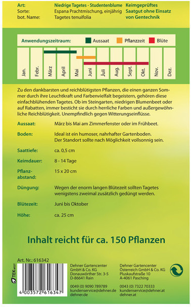 Dehner Dehner Niedrige Tagetes España, Gelb,Orange,Rot - back view
