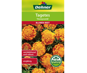 Dehner Tagetes Honeycomb, Gelb,Dunkelrot