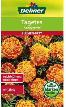 Dehner Dehner Tagetes Honeycomb, Gelb,Dunkelrot - Product image 1 of 3