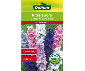 Dehner Rittersporn Gefüllte Prachtmischung, Bunt