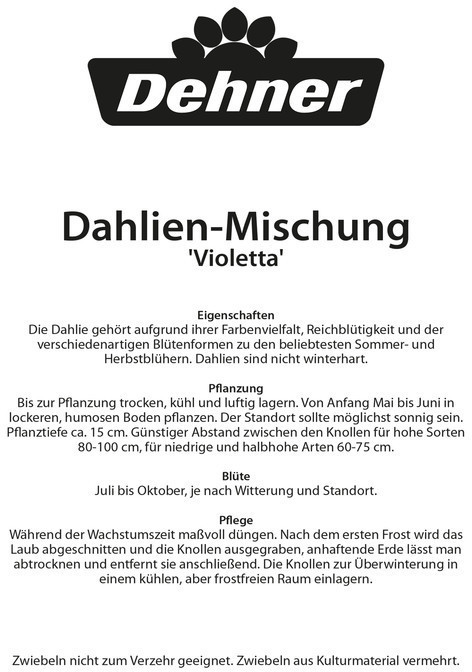 Dehner Dehner Blumenzwiebel Dahlien-Mischung Violetta, Pink,Rosa,Lila,Weiß - side view