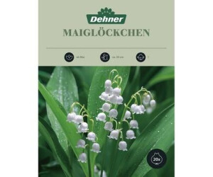 Dehner Blumenzwiebel Maiglöckchen, Weiß