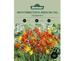 Dehner Blumenzwiebel Montbretien-Mischung Symphony, Gelb,Orange,Rot