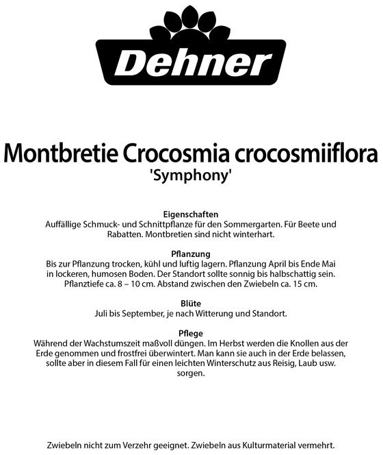 Dehner Dehner Blumenzwiebel Montbretien-Mischung Symphony, Gelb,Orange,Rot - back view