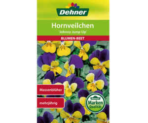 Dehner Hornveilchen Johnny Jump Up, Gelb,Lila