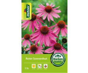 Dehner Blumenzwiebel Roter Sonnenhut, Pink,Rosa