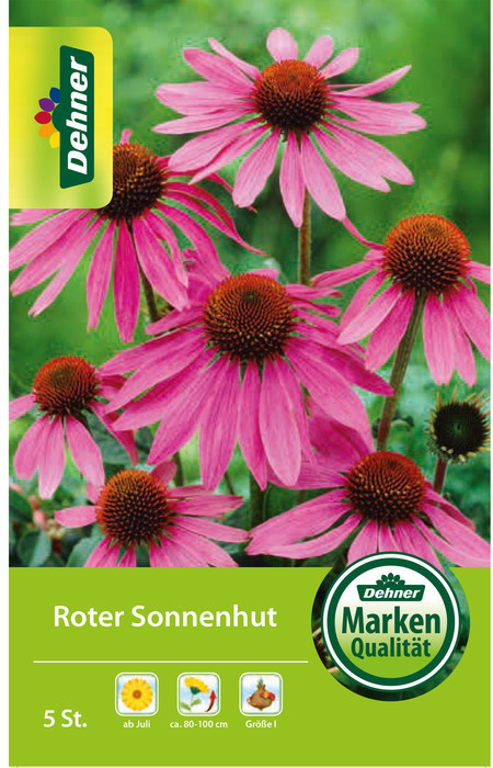 Dehner Dehner Blumenzwiebel Roter Sonnenhut, Pink,Rosa - Product image 1 of 2