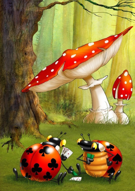 Grafika (T-00488)