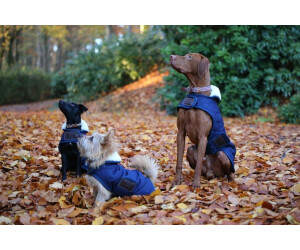 halsbnder fr hunde selber machen DIY-Set Hundehalsband Ringelwurm 3 farbig  naehxt