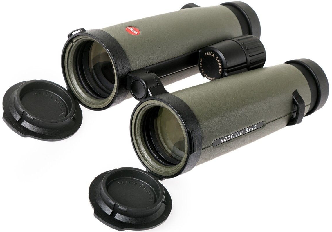 Leica Camera Noctivid 8x42 Green