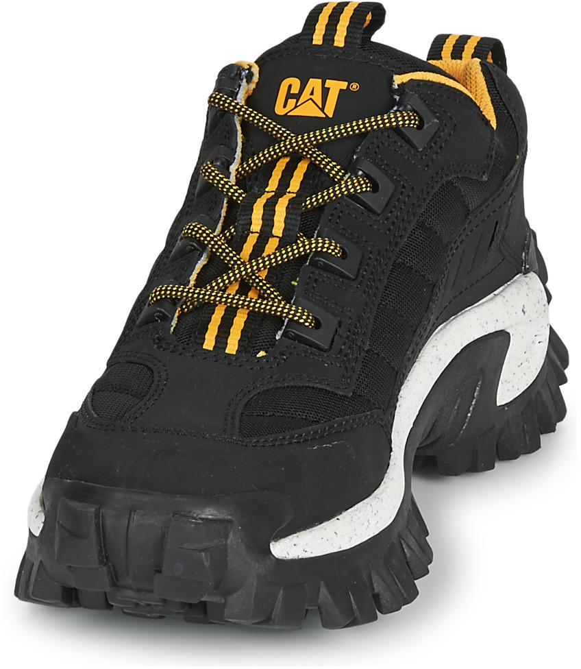 Cat intruder on sale pirate black