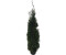 FloraSelf Lebensbaum Thuja occidentalis Smaragd H 150-175 cm im Co 12 L (12 Stk) 1 Palette