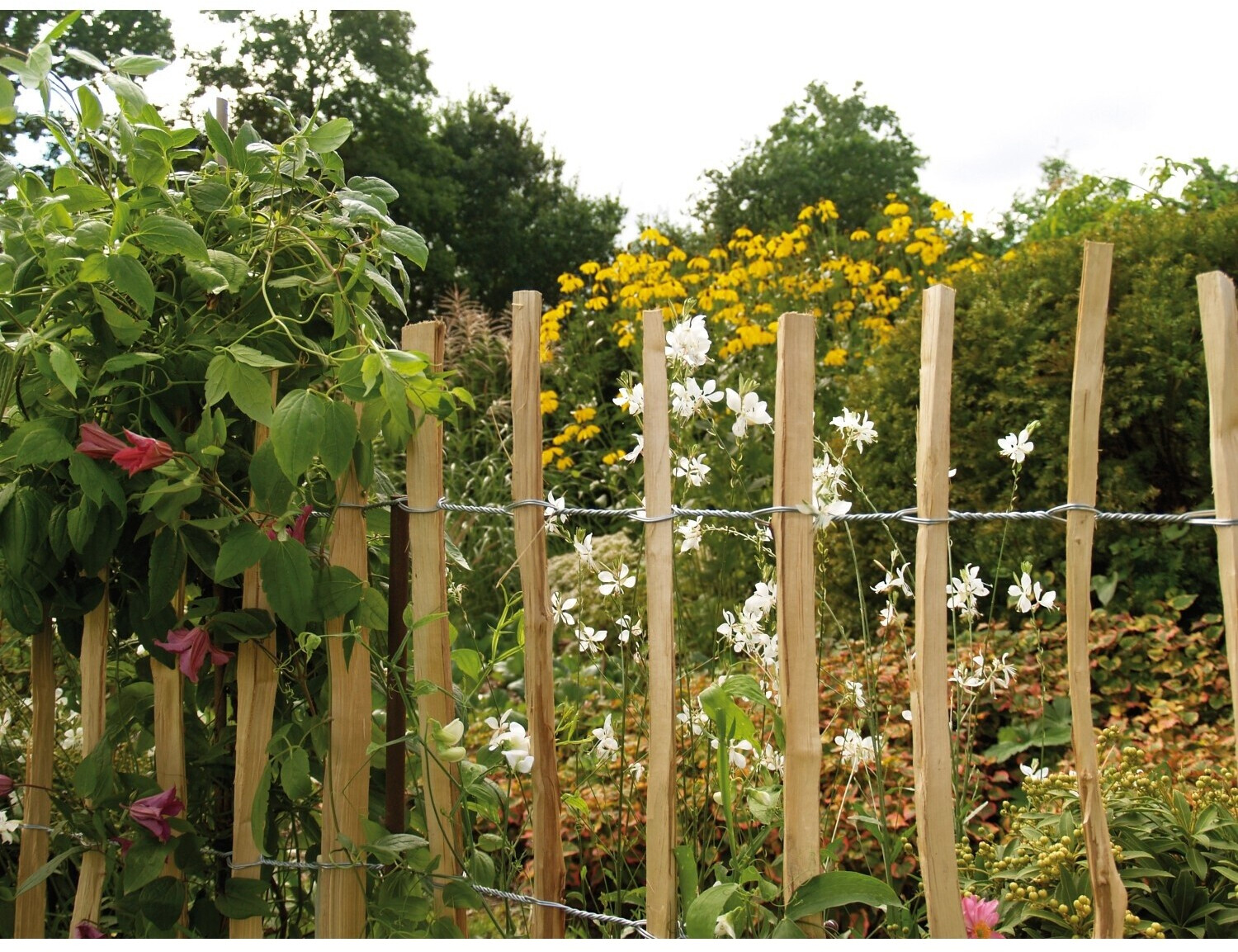 Kiehn-Holz Kiehn-Holz 33254039 - back view