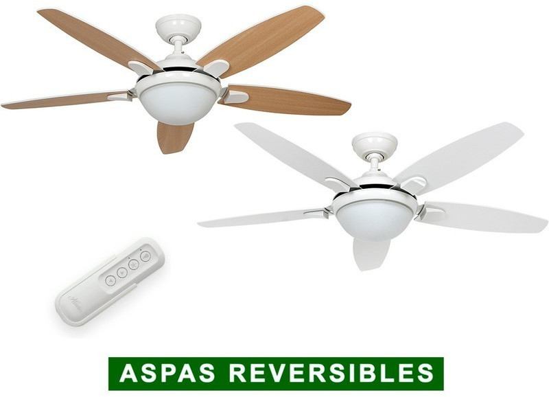 Hunter Fan Contempo 50613