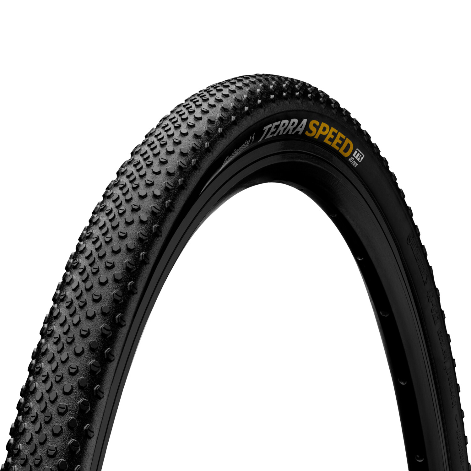 Speedtr new arrivals