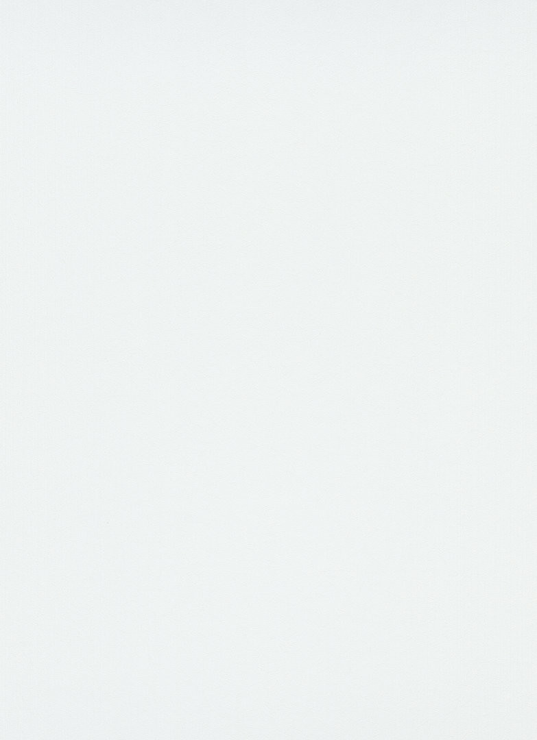 Erismann 1000401