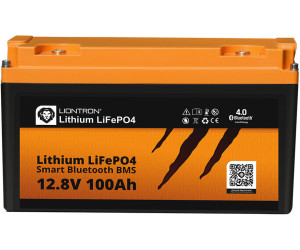 Lithium LIFEPO4 Akku 12V 100Ah mit BMS und LED Display - VF
